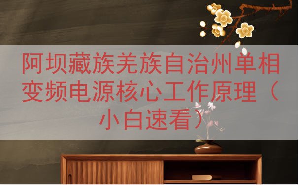 阿坝藏族羌族自治州单相变频电源核心工作原理（小白速看）
